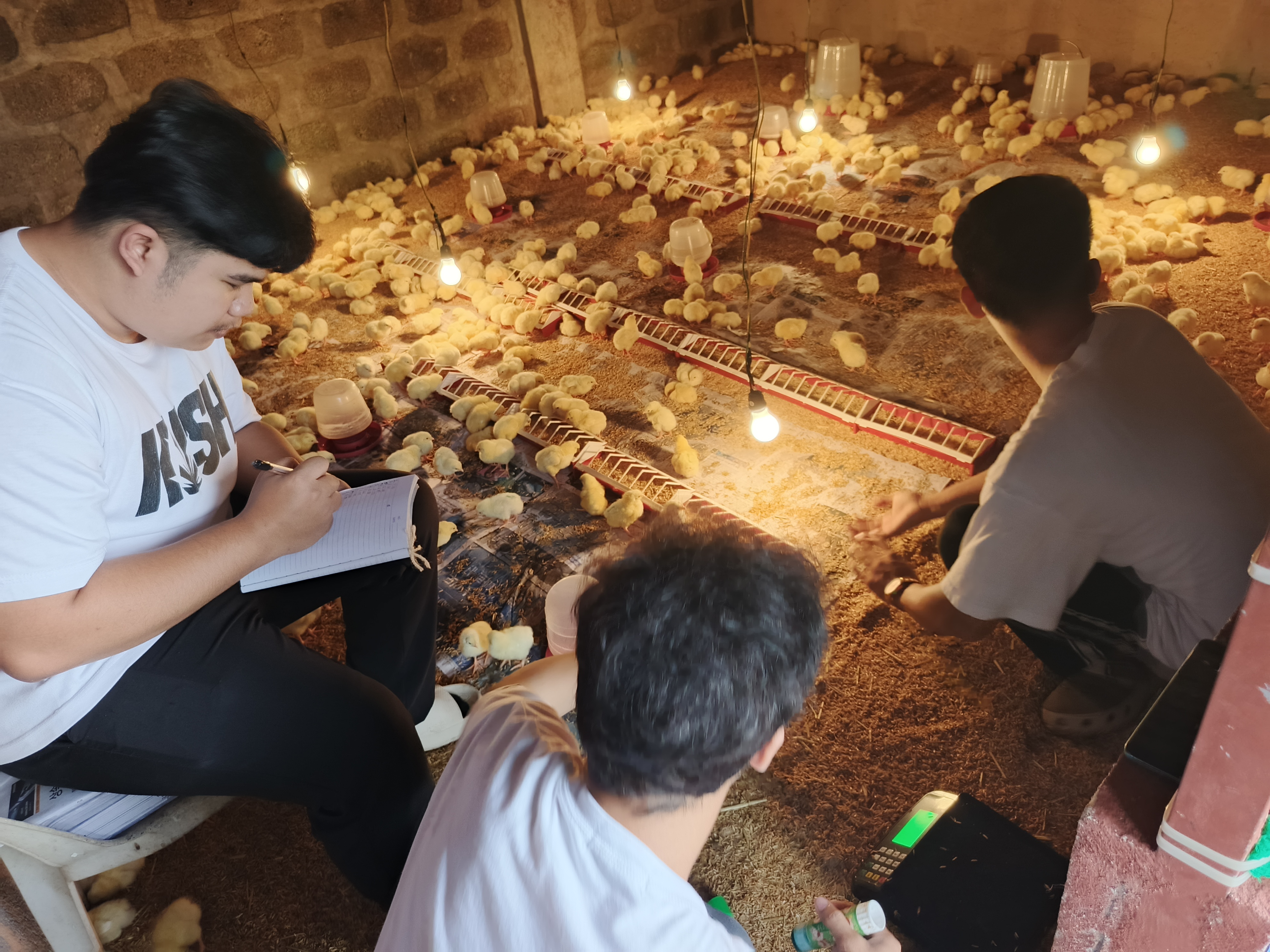 Practical Poultry Production at DFFS 4